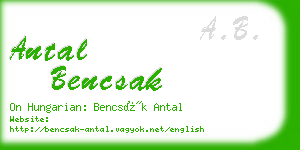 antal bencsak business card